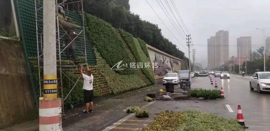 護坡植物墻