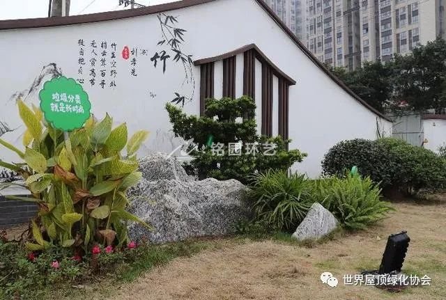 重慶立體綠化，讓市政老建筑舊貌煥新顏