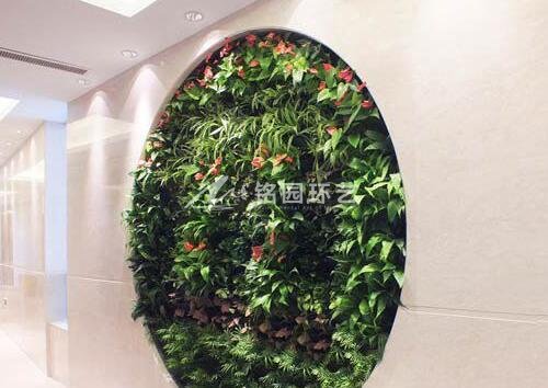 室內植物墻.jpg