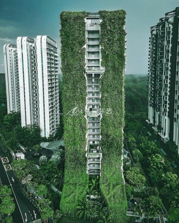 建筑物，高層建筑物外墻垂直綠化