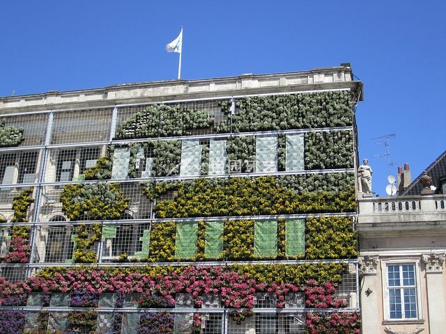 建筑物外墻鋼網垂直綠化景觀