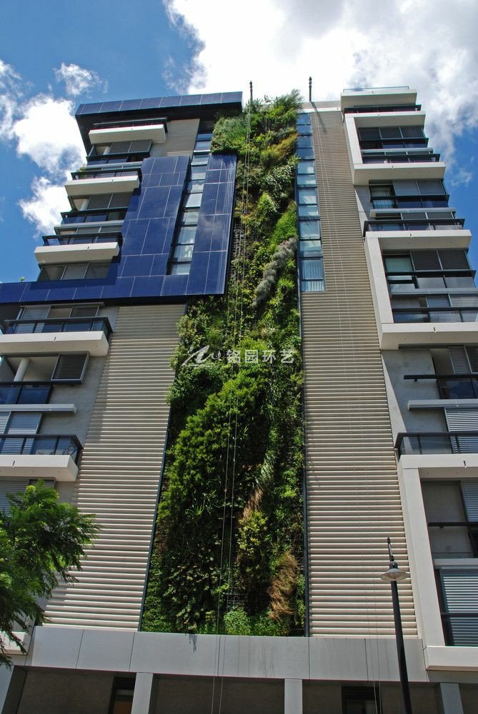 高層建筑物垂直綠化景觀