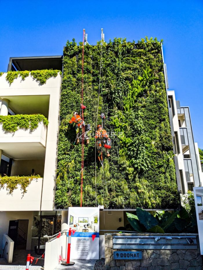 植物墻效果圖